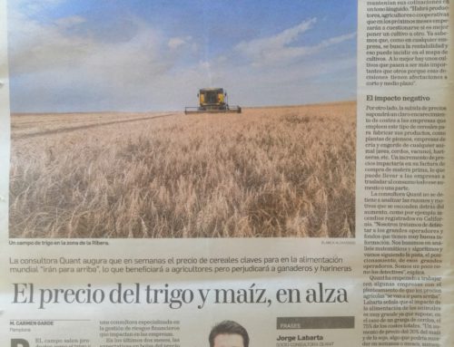El resurgir de los granos agrícolas: evolución del precio de la soja, el maíz y el trigo